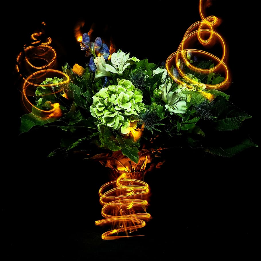 lightpainting, flowers, party, bouquet, abstract, decoration HD wallpaper