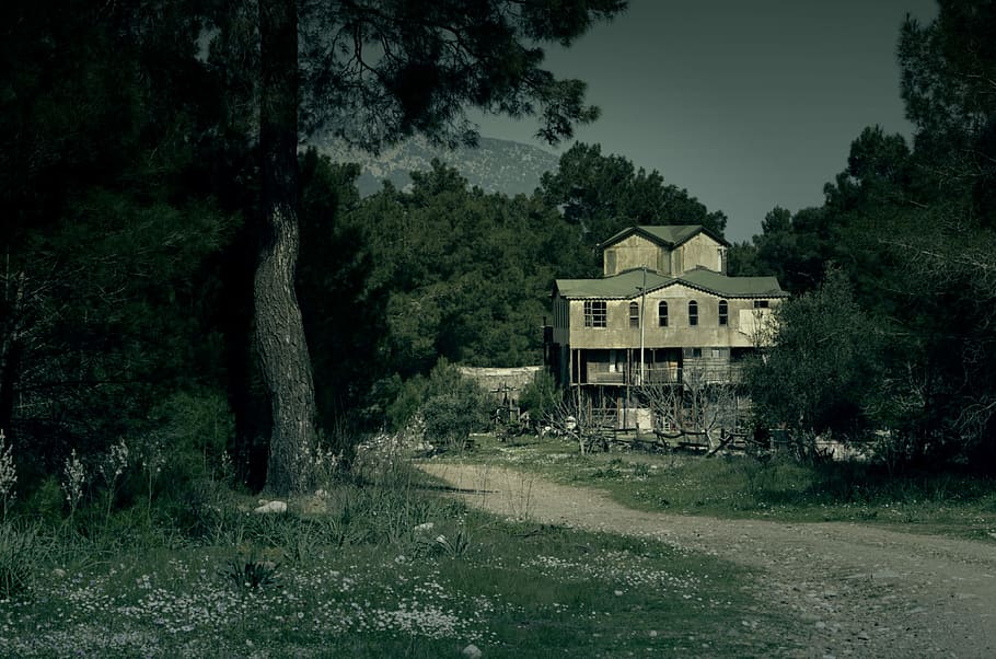 photo of wooden house surrounded with trees, haunted, dark, halloween