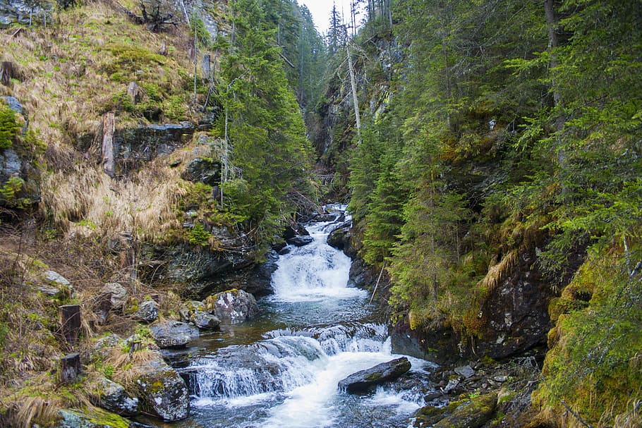 landscape, environment, nature, trees, forest, river, waterfall HD wallpaper