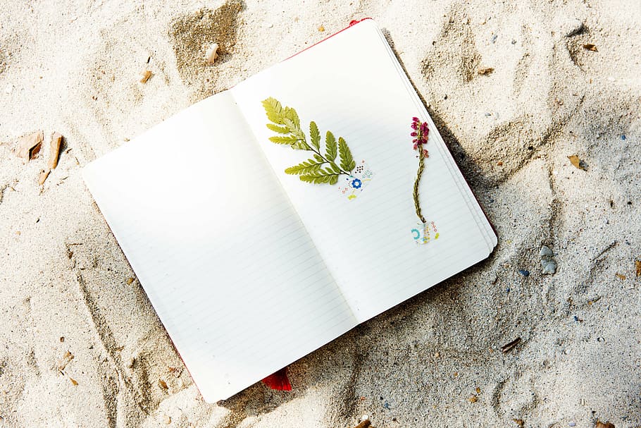 white, green, and red paper, beach, coast, craft, diary, flower HD wallpaper