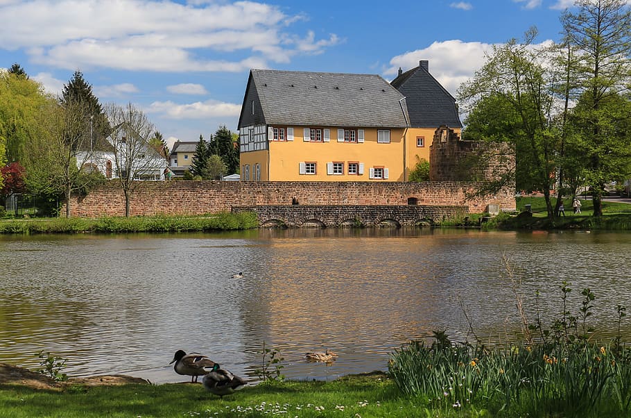 castle, pond, romantic, architecture, places of interest, ducks HD wallpaper