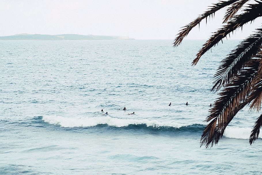 people swimming on sea during daytime, group of people swimming on beach HD wallpaper