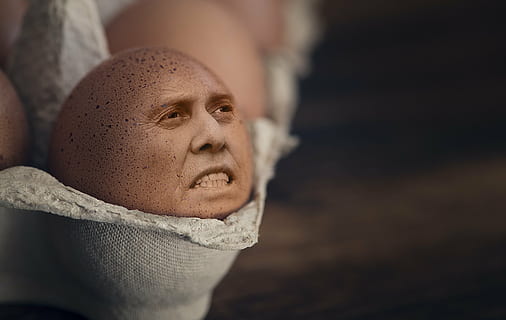 egg and man face edited photo, iman, egg box, easter eggs, food HD wallpaper