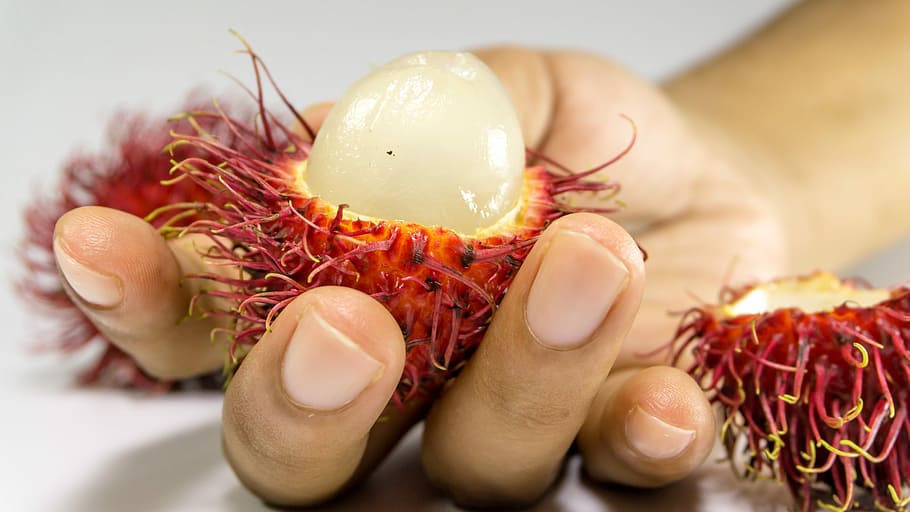 Rambutan, Fruit, Background, Hand, Fresh, white, red, food HD wallpaper