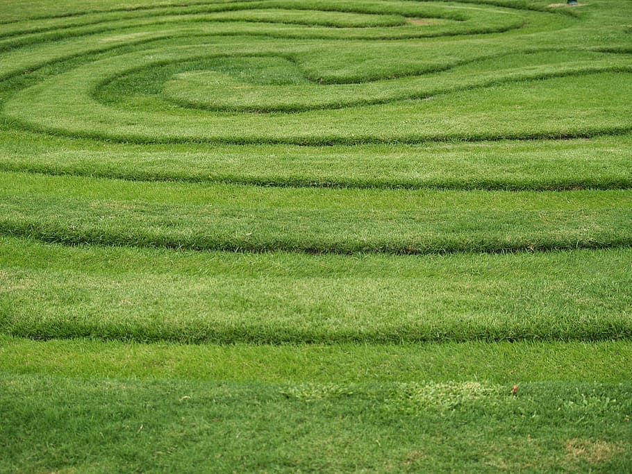 Nature, Grass, Design, Landscape, green, park, lawn, outdoor HD wallpaper