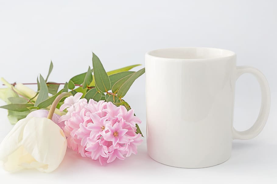 pink, leaves, mug, flower, plant, flowering plant, freshness HD wallpaper
