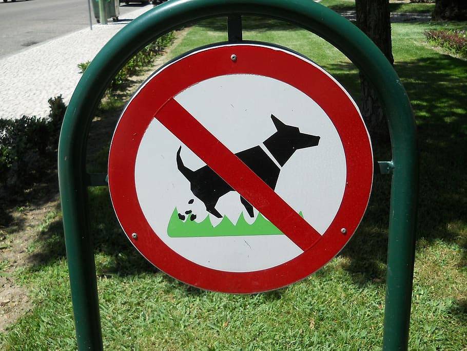 dogs, animal behavior, sign, communication, road sign, red HD wallpaper