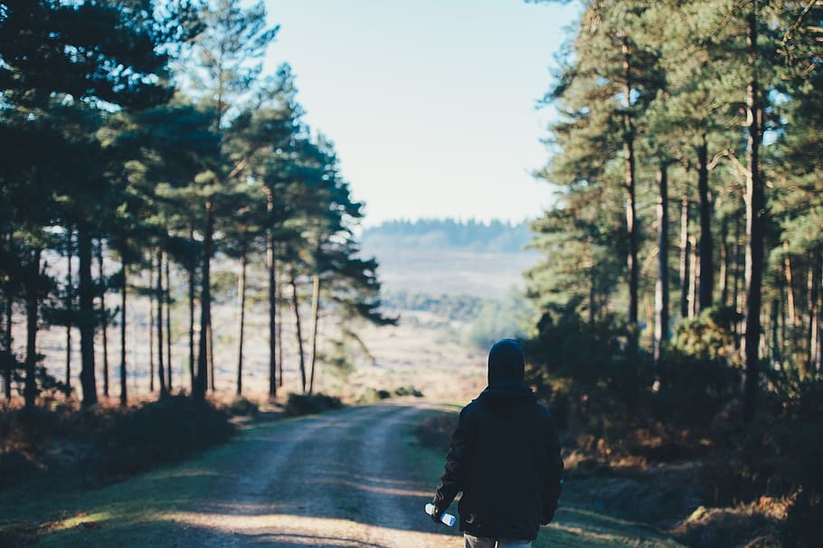 person wearing jacket walking on dirt road, person wearing black jacket walking on pathway in between trees HD wallpaper