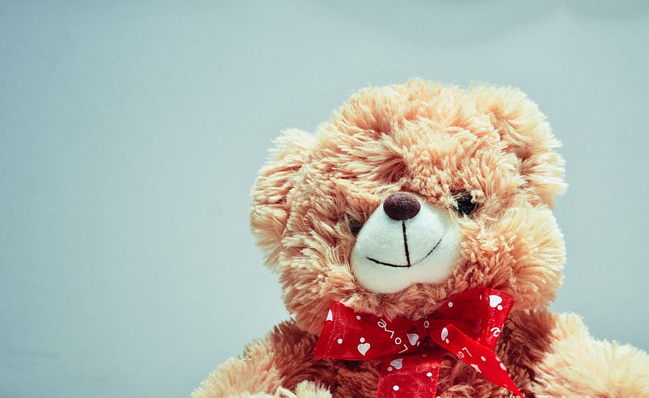 brown bear plush toy, photography, teddy, teddy bear, stuffed animal, HD wallpaper