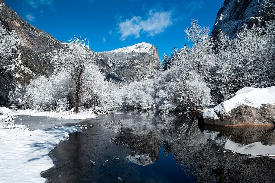 snow capped mountain near river at daytime, river surrounded with pine trees and coated with snow HD wallpaper