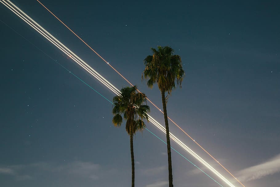 two green trees, time lapse photography of stars, light streak HD wallpaper