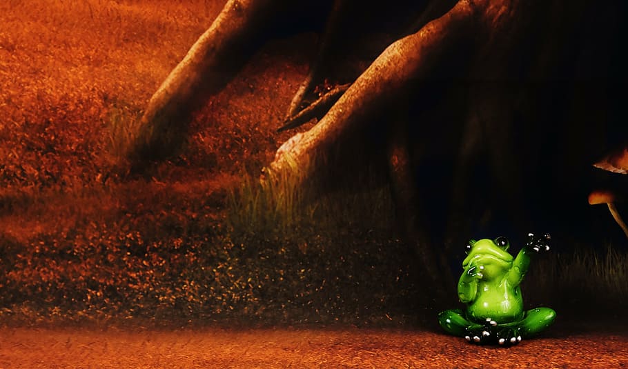 frog, figure, wave, funny, forest, food and drink, vegetable HD wallpaper
