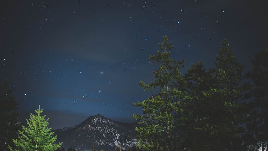 landscape photography of trees, green leafed trees during night time photography HD wallpaper