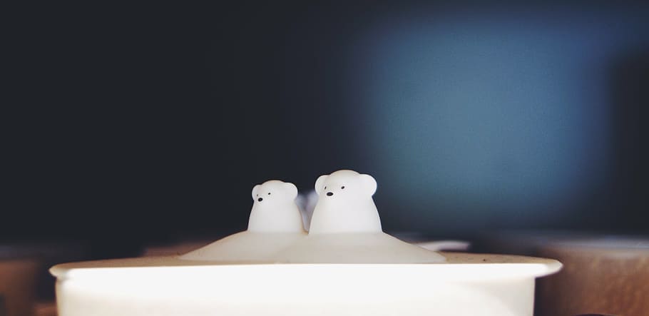 cup, tableware, cute, indoors, studio shot, no people, copy space HD wallpaper