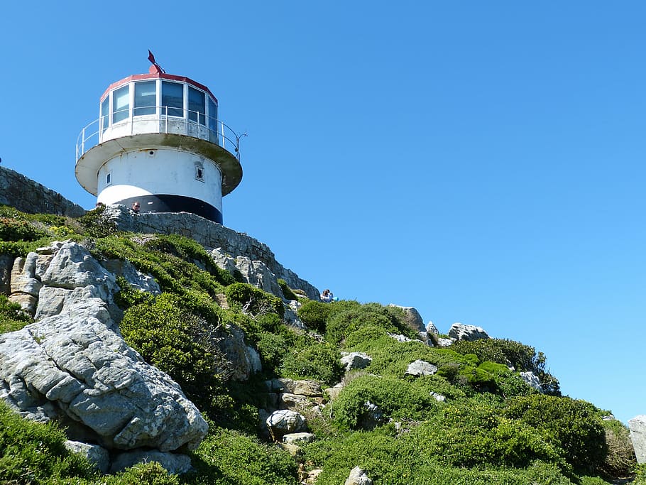 white lighthouse near green plants, south africa, cape town, cape peninsula, HD wallpaper