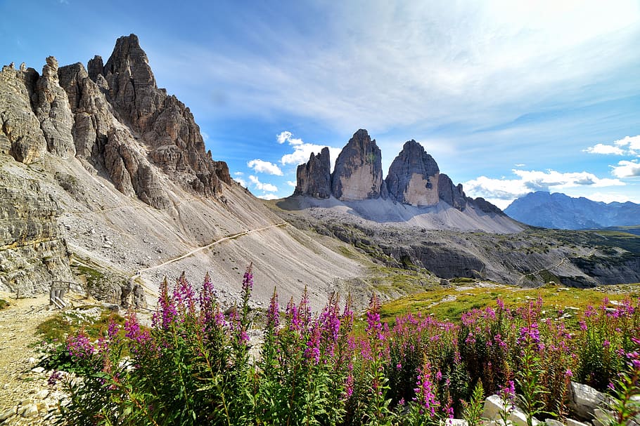 rock formation surrounded with plants, lavaredo, the three peaks of lavaredo