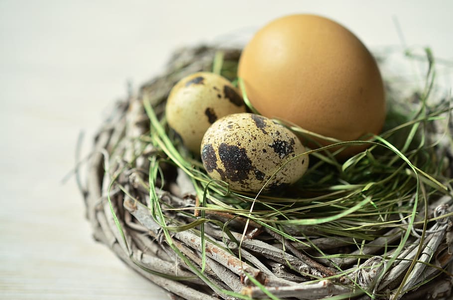two quail eggs beside brown egg on nest, easter, easter nest HD wallpaper