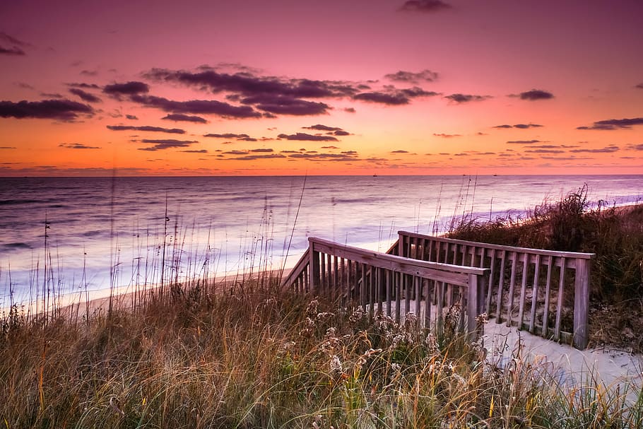 First Light, seashore during golden hour, sunset, sunrise, sky HD wallpaper