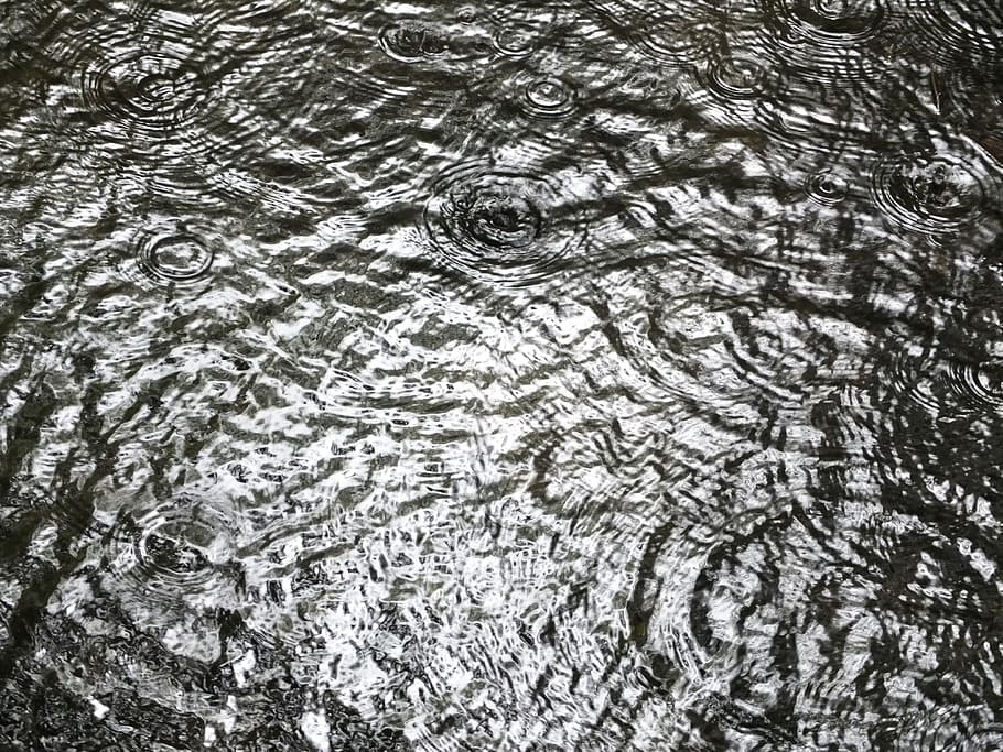 water, rain, pattern, raindrop, drip, wet, nature, drop of water HD wallpaper