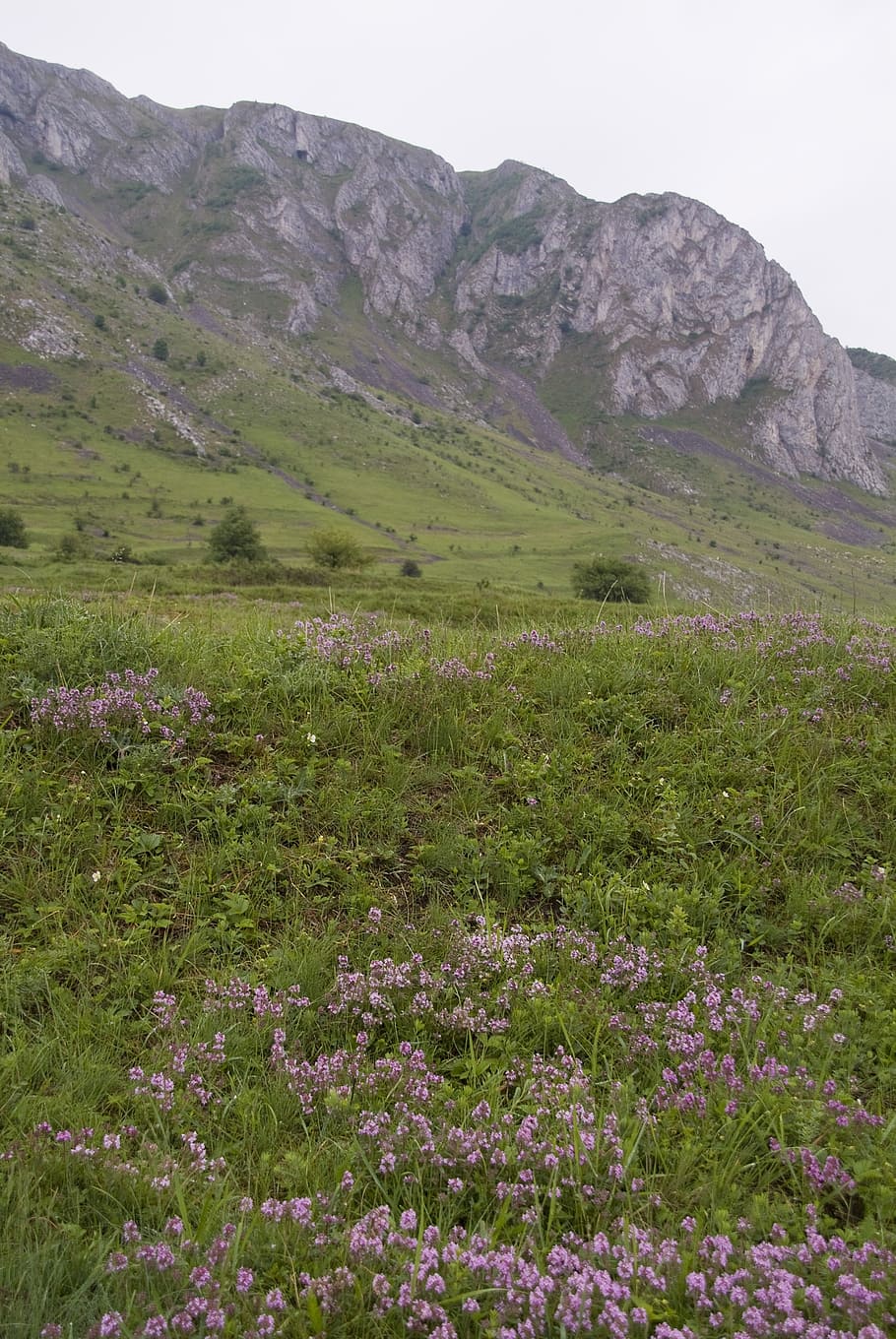 transylvania, romania, landmark, landscape, mountain, nature HD wallpaper
