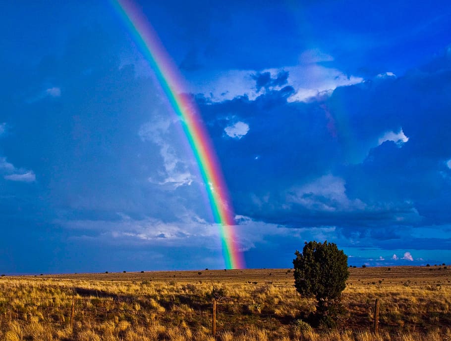 rainbow, southwest, desert, cloud - sky, landscape, environment HD wallpaper