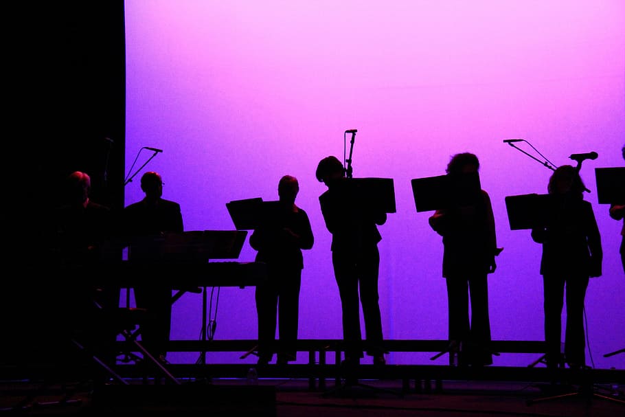 musicians, orchestra, shadow, scene, group of people, real people HD wallpaper