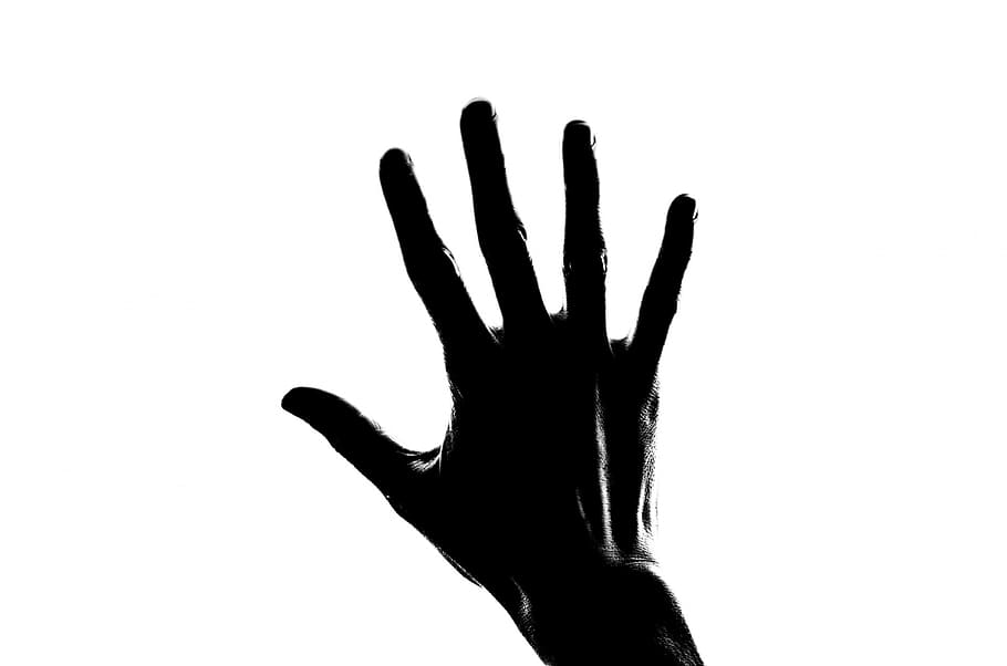 grayscale photography of right hand, silhouette, people, palm