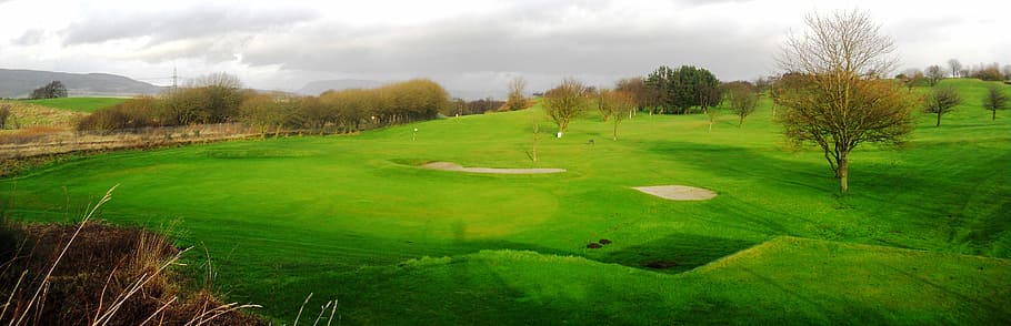 golf field with trees at daytime, Golf Course, Landscape, grass HD wallpaper
