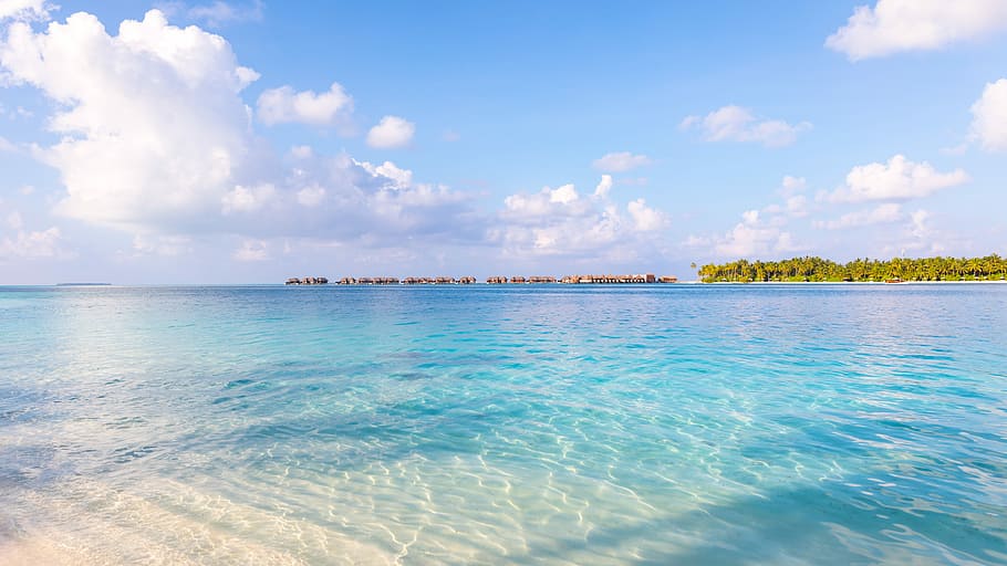 cloudy sky above ocean, photo of sea facing island, lagoon, tree HD wallpaper