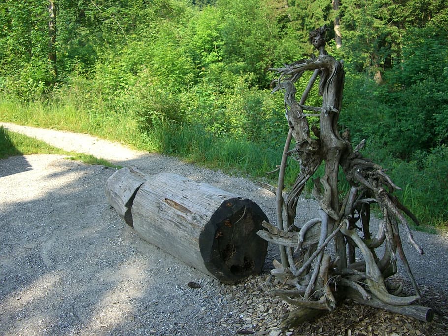 tree root, gnarled, figure, vielfuessler, monster, the witch HD wallpaper