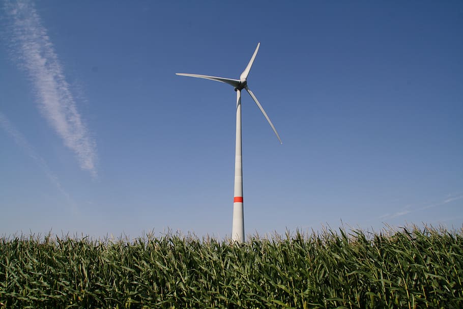 white windmill under blue sky, pinwheel, field, fields, wind energy HD wallpaper