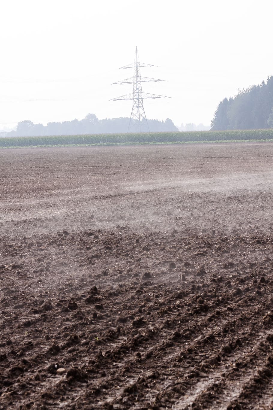 Arable, Field, Plowed, Harrowed, Fog, steamy, autumn, forest HD wallpaper