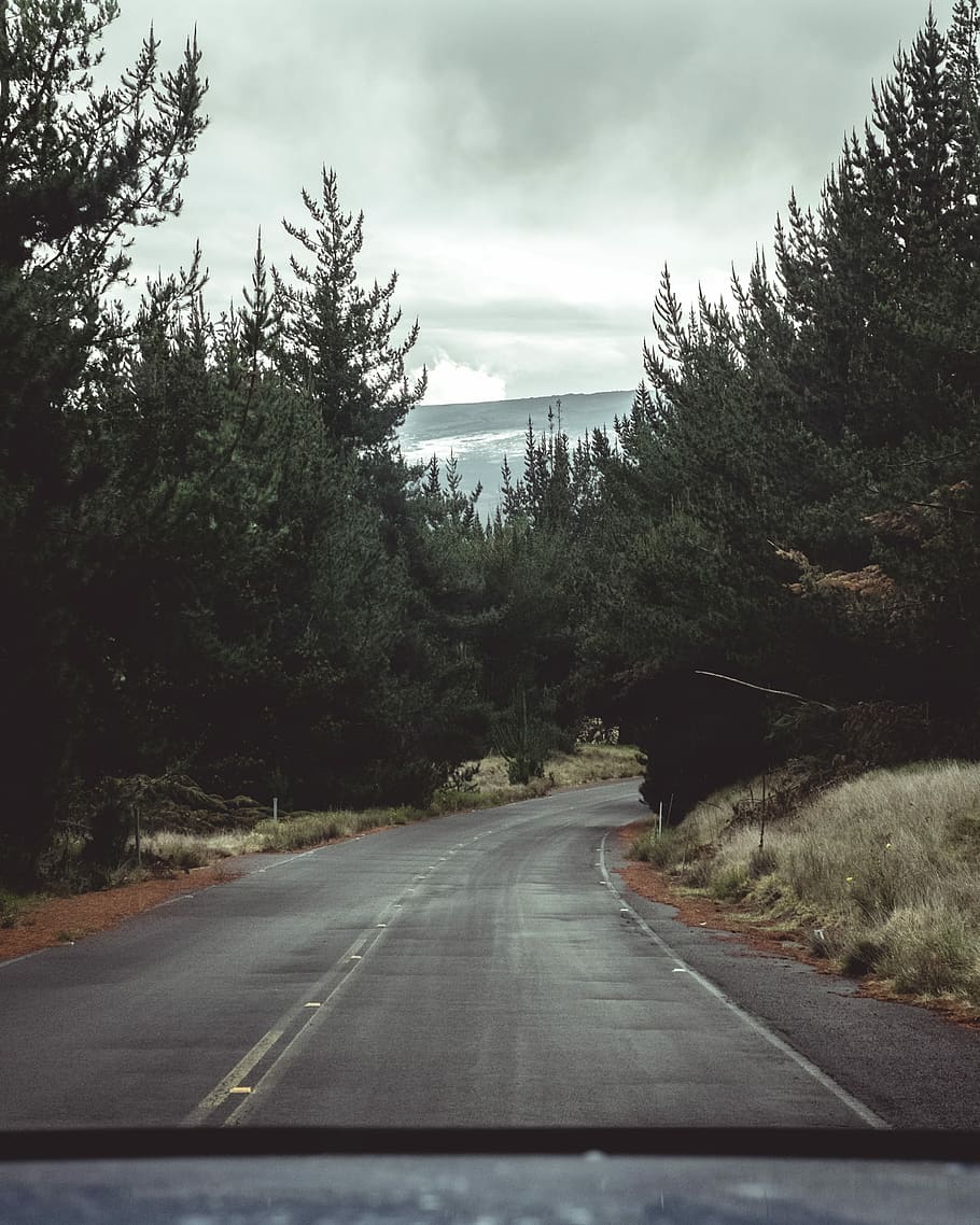 landscape photo of concrete road, landscape photography of freeway surrounded with pine trees HD wallpaper