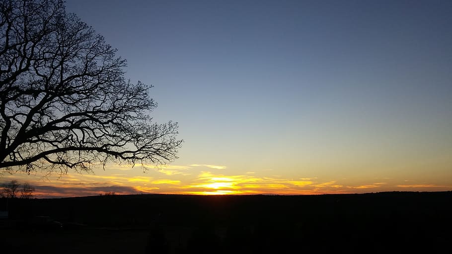 sunset, winter, tree, outdoor, sky, scenic, silhouette, scenics - nature HD wallpaper