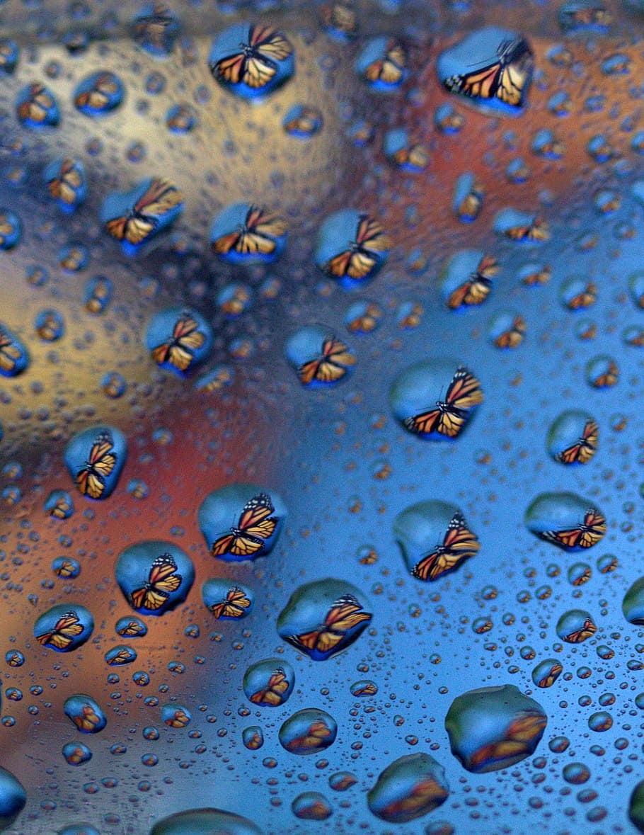 drops, reflection, water, rain, wet, full frame, close-up, no people HD wallpaper