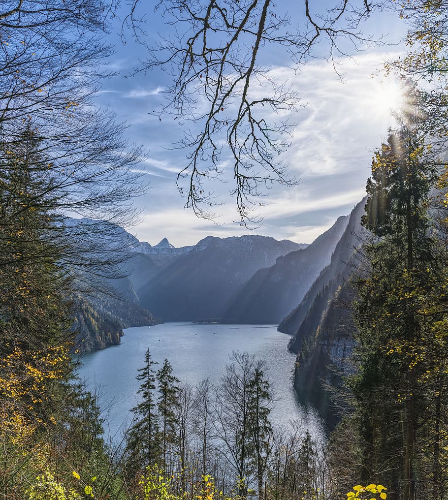 green leafed trees near body of water, königssee, view, lake