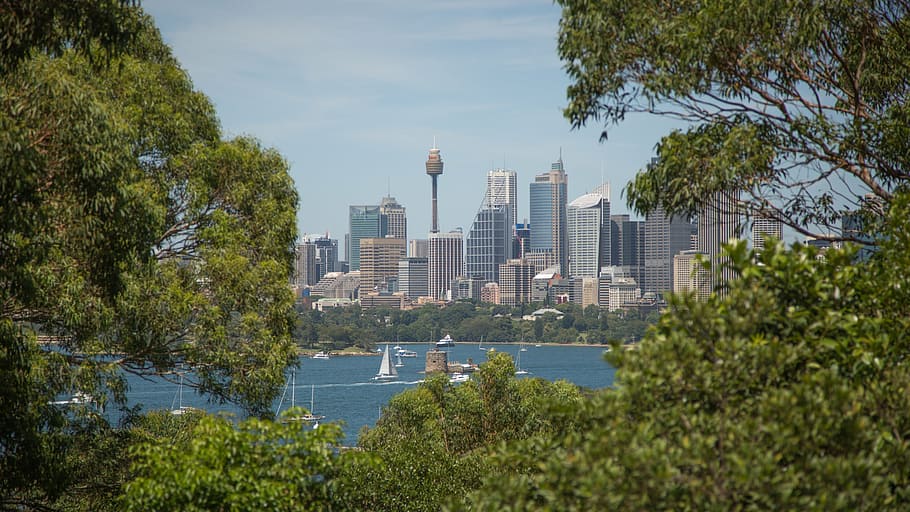 canon, sydney harbour, centrepoint, yachts, summer, cityscape, HD wallpaper