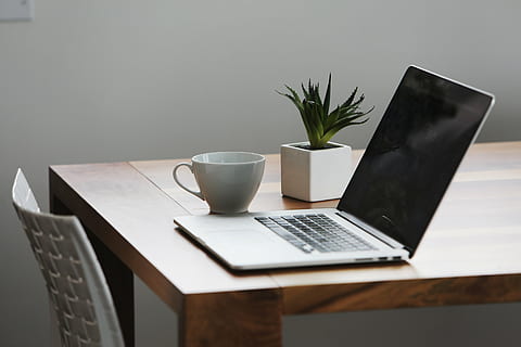 flip-on gray laptop computer near white ceramic teacup on brown table HD wallpaper