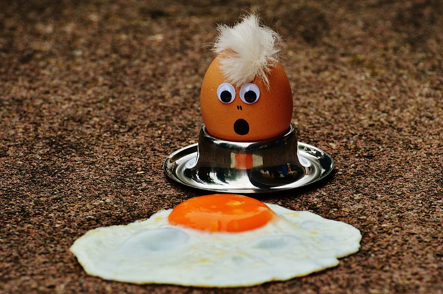brown egg on stainless steel rack, fried, mourning, fun, funny HD wallpaper