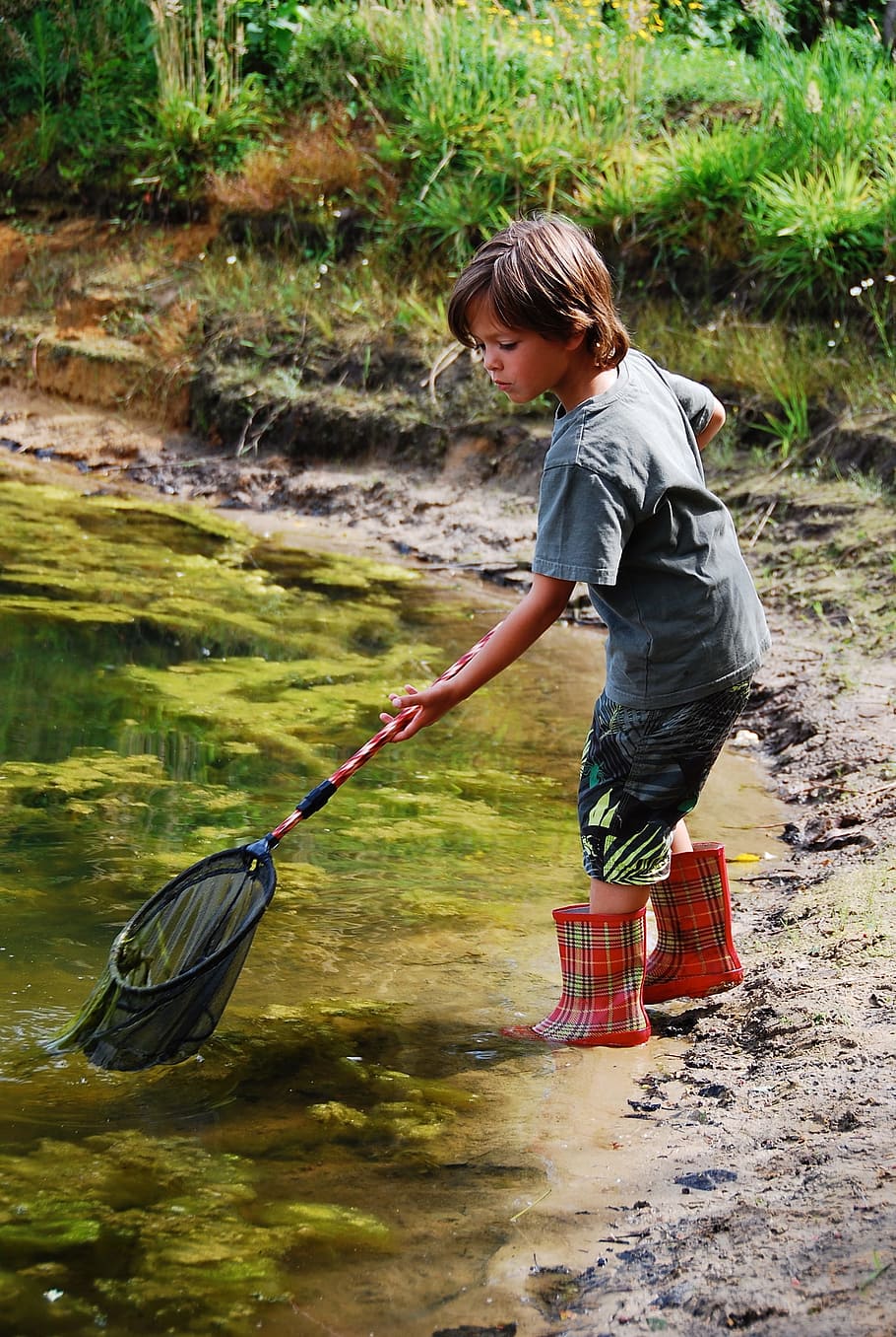 boy holding black and red net, fish, river, water, landscape HD wallpaper