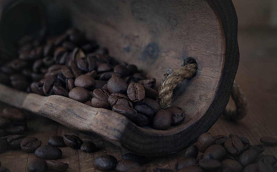 coffee bean, coffee beans, roasted, brown, natural product, caffeine