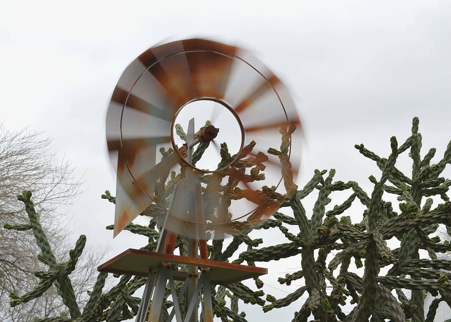 windmill, cactus, motion, spin, picturesque, outdoor, old, cacti HD wallpaper