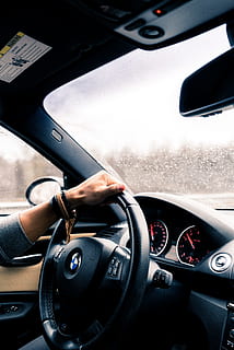 Horses in the rain., woman driving BMW car, transportation, vehicle Interior HD wallpaper
