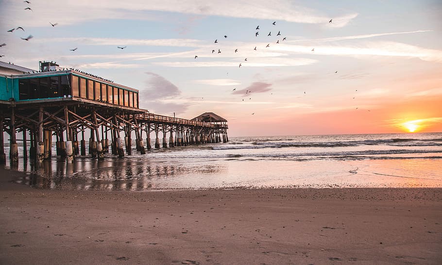 birds flying over brown wooden sea dock during sunset, wide angle photo of brown wooden cottage during sunset HD wallpaper