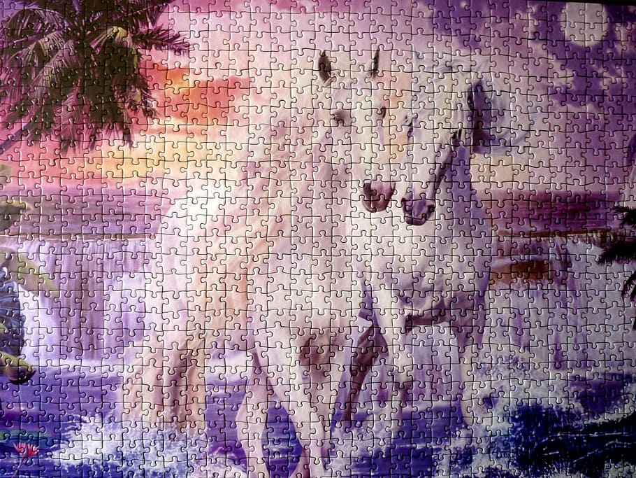 puzzle, horses, backgrounds, full frame, textured, pattern HD wallpaper
