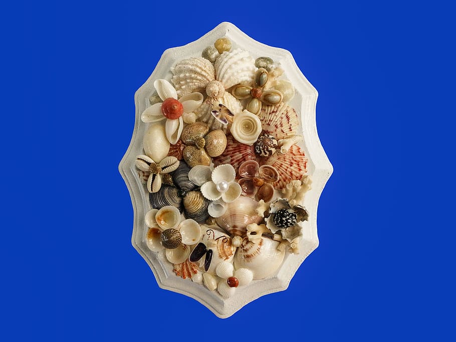 Crafts, Sea Shells, Art, blue, no people, colored background HD wallpaper