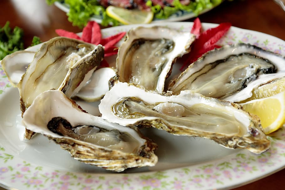 oysters in round white and pink floral ceramic plate, cuisine HD wallpaper