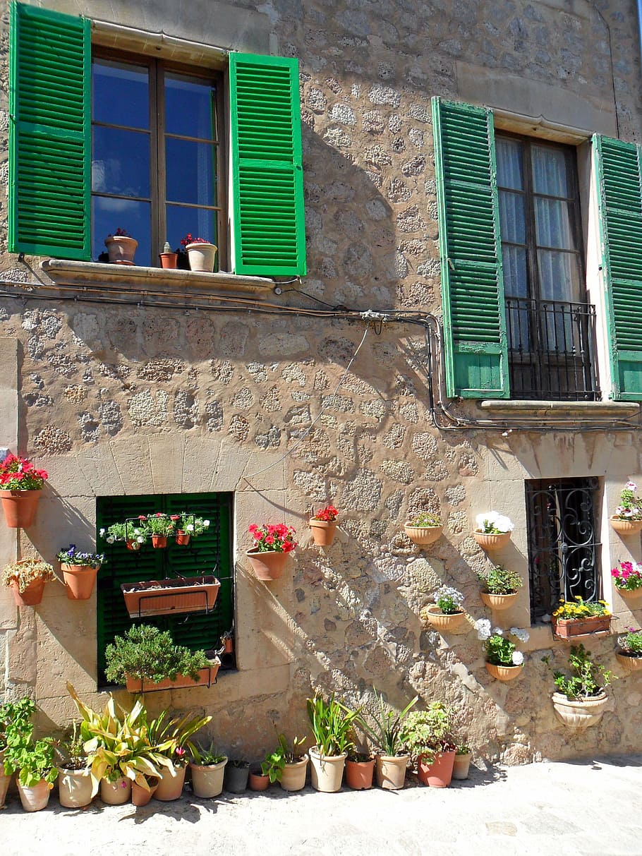 green leaf plants outside the house, mallorca, building, window HD wallpaper