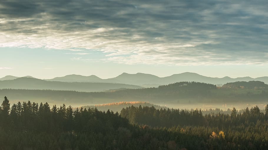 green mountains and trees view, green leaf tress under gray thick cloud HD wallpaper