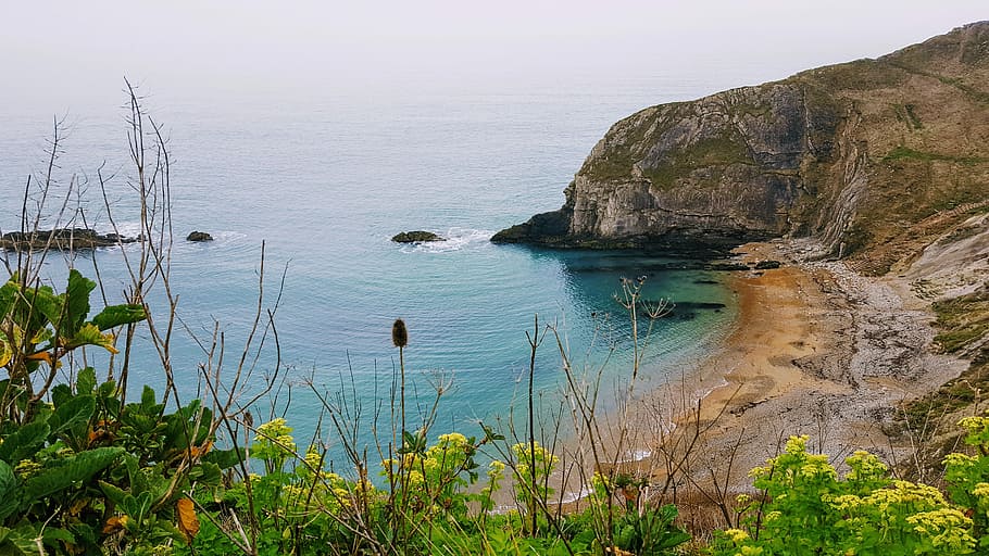 coast, sea, water, beauty in nature, scenics - nature, plant HD wallpaper